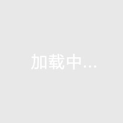 某著名服裝品牌戰(zhàn)略規(guī)劃咨詢